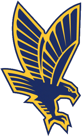 Marquette Golden Eagles 1994-2004 Secondary Logo iron on transfers for T-shirts